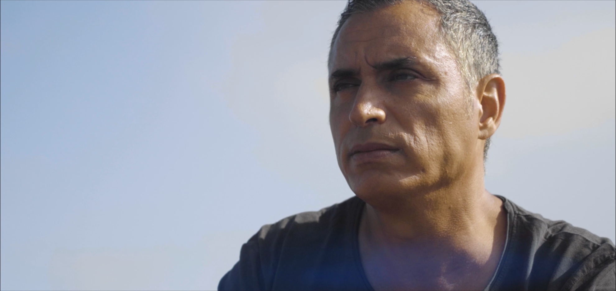 Gros plan — profil — 1980 × 936